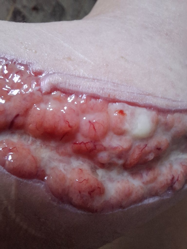 Blasfemia de lo estetico tweet media