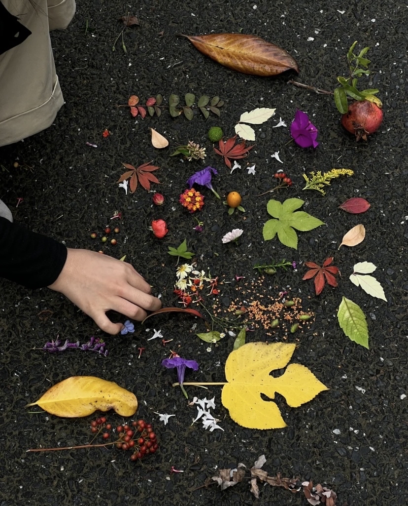 Tim Faccenda tweet media