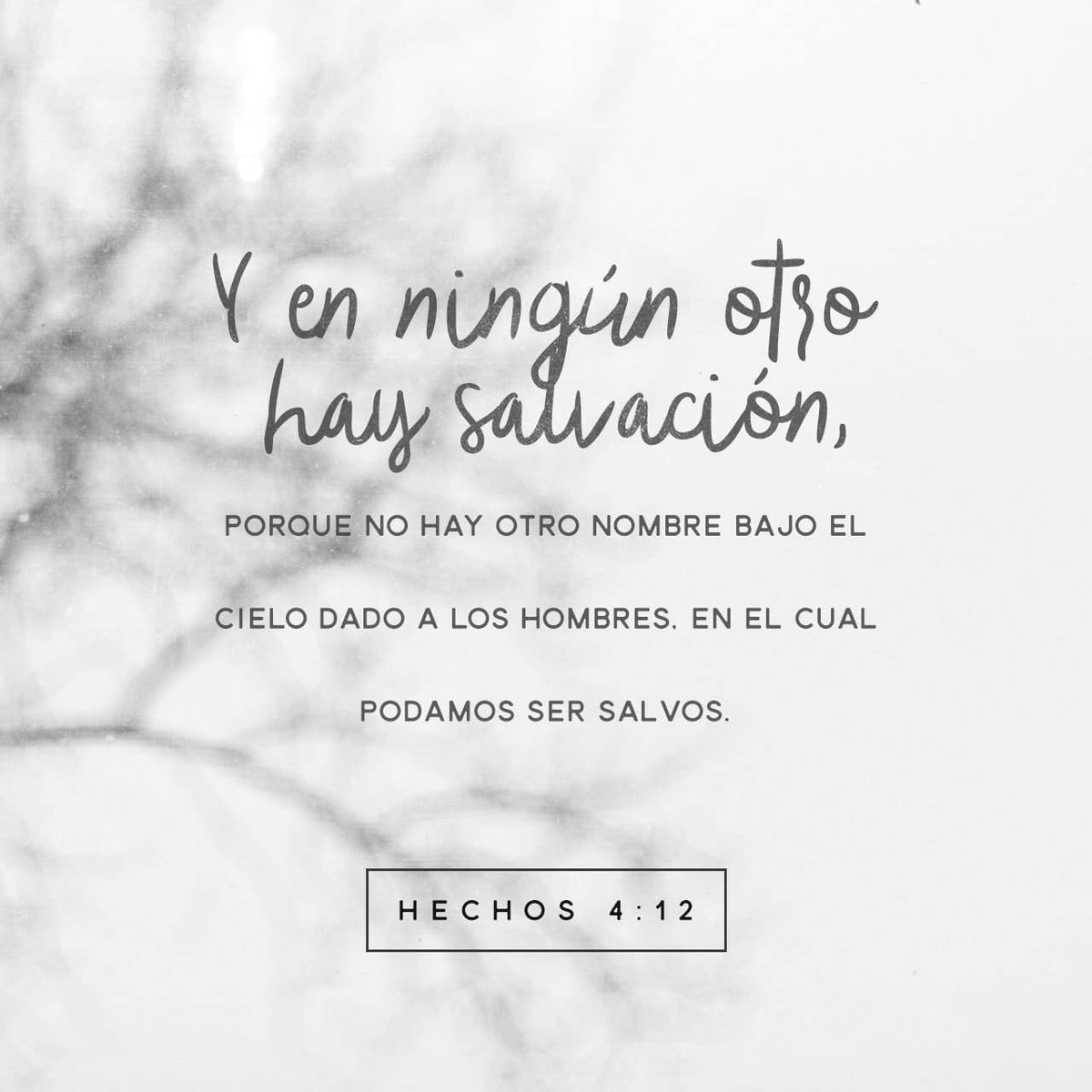 Fanny Reyes Reyes tweet media
