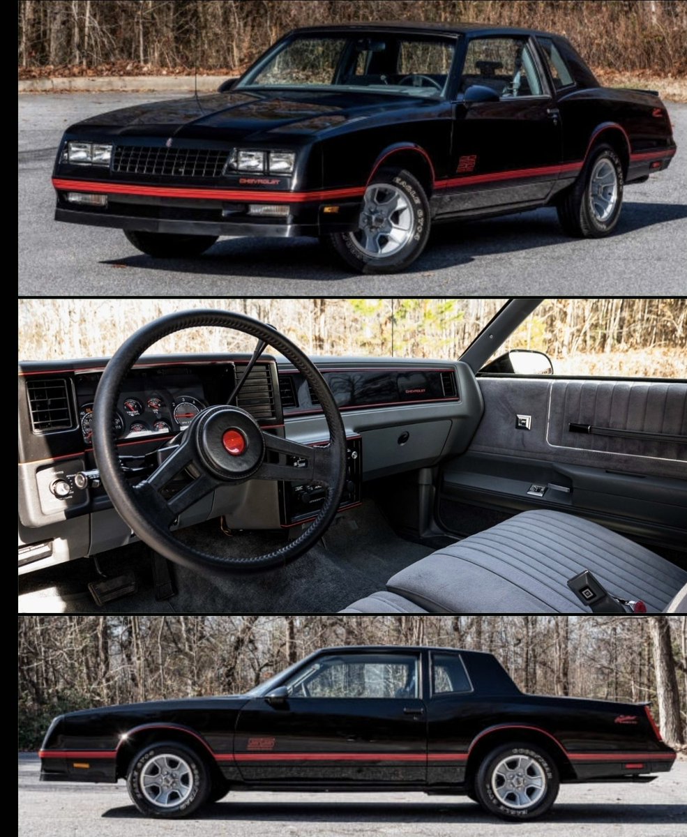 🐊🇽‌🇨‌🇱‌🇷‌🇹‌🇷‌ tweet media