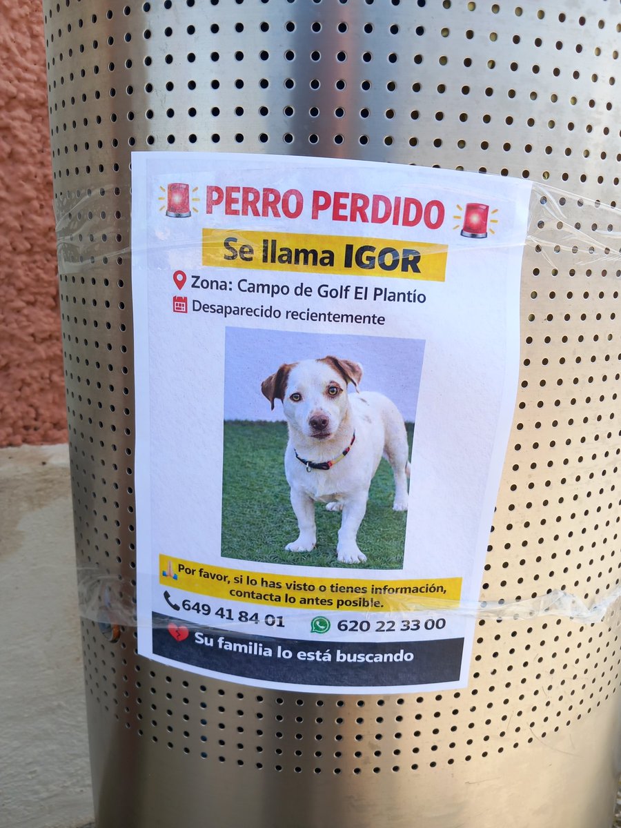 Pedro Rodríguez tweet media