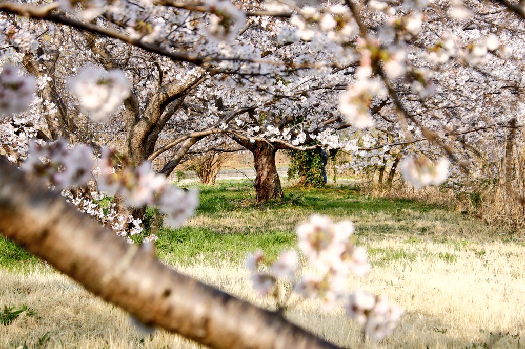 あやかNB📷∞ tweet media