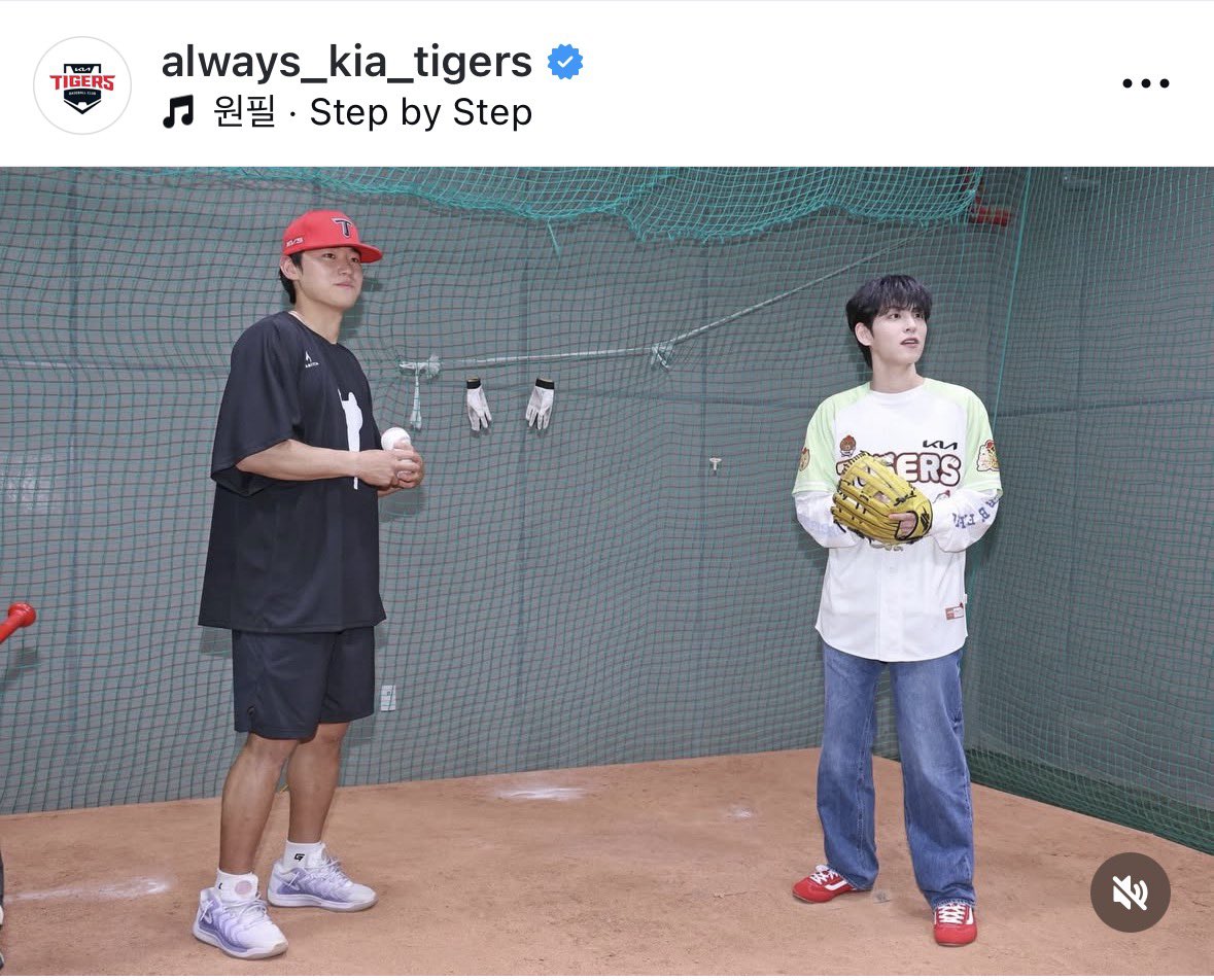 신발 색깔 완전
합격