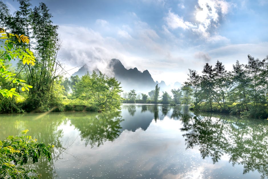 Patricia Larson tweet media