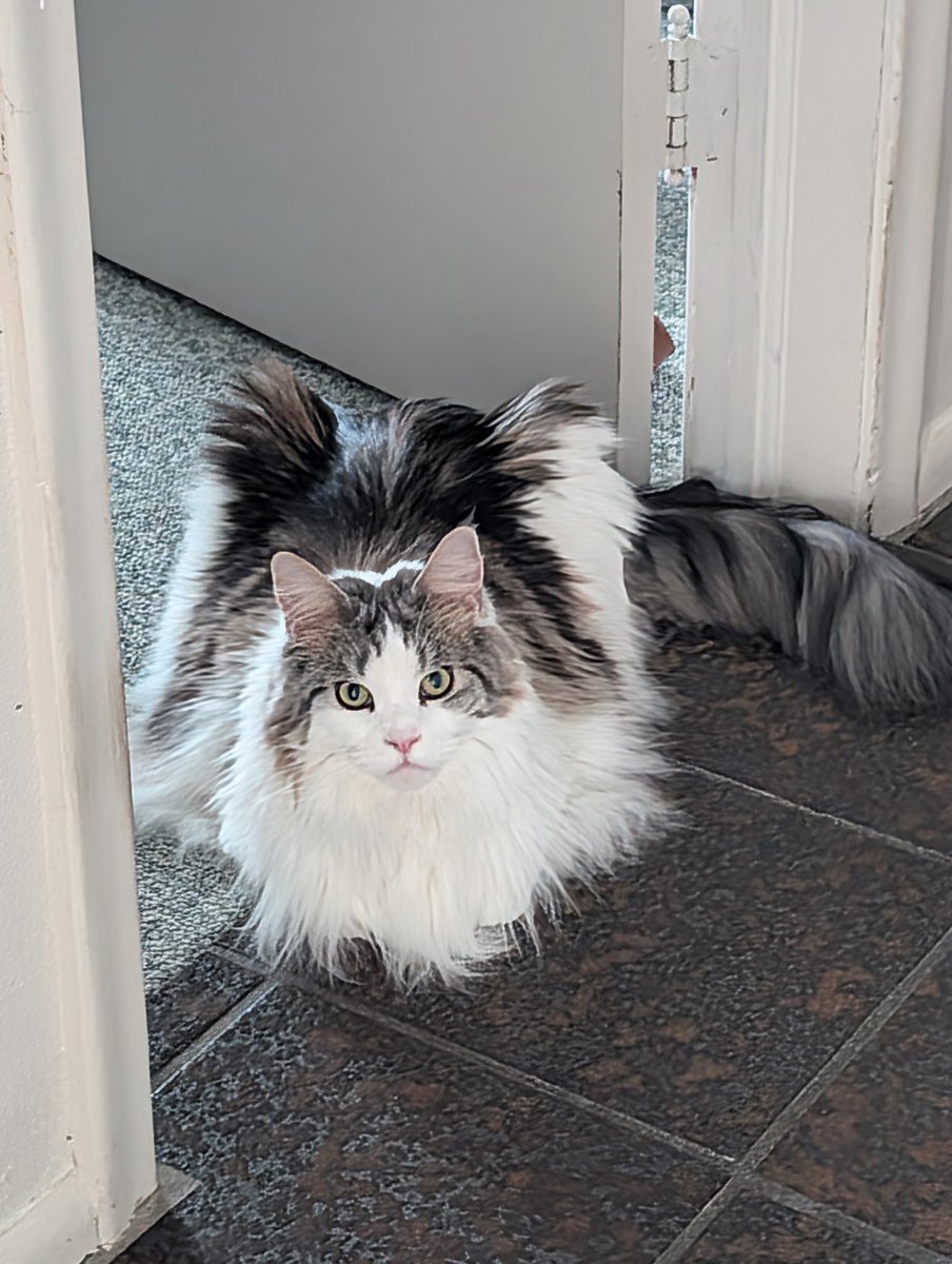 TweetsByBug's tweet photo. mildly intimidated https://t.co/IRIhnmDNhk