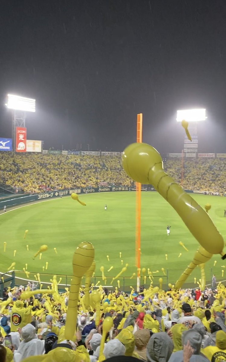 星井 まゆみ tweet media