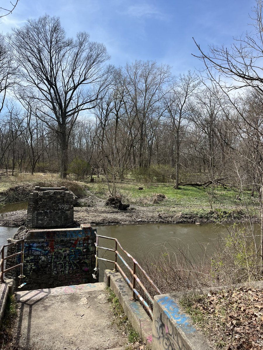 whack-a-mole victim tweet media