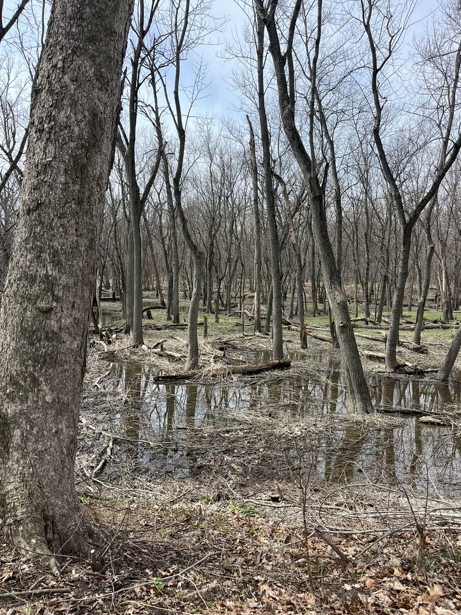 whack-a-mole victim tweet media