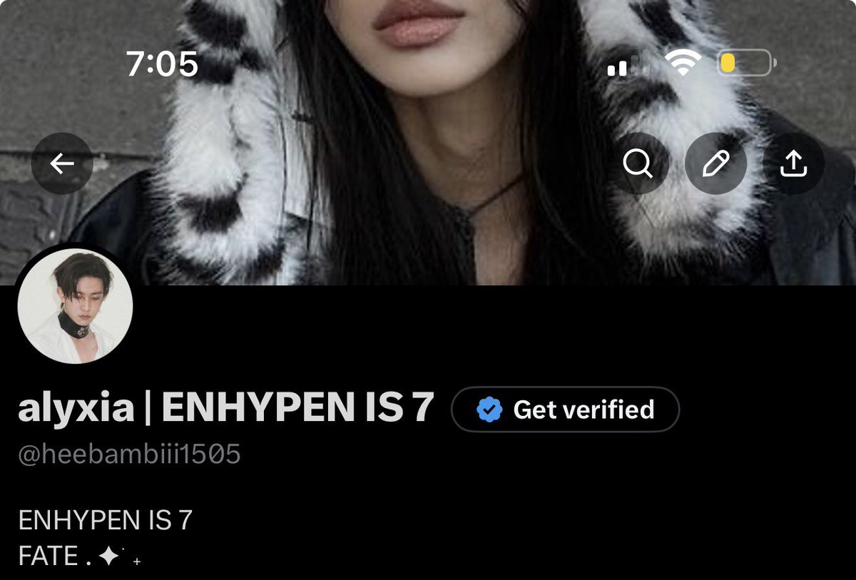 syn | enhypen is 7 (fb limit) tweet media