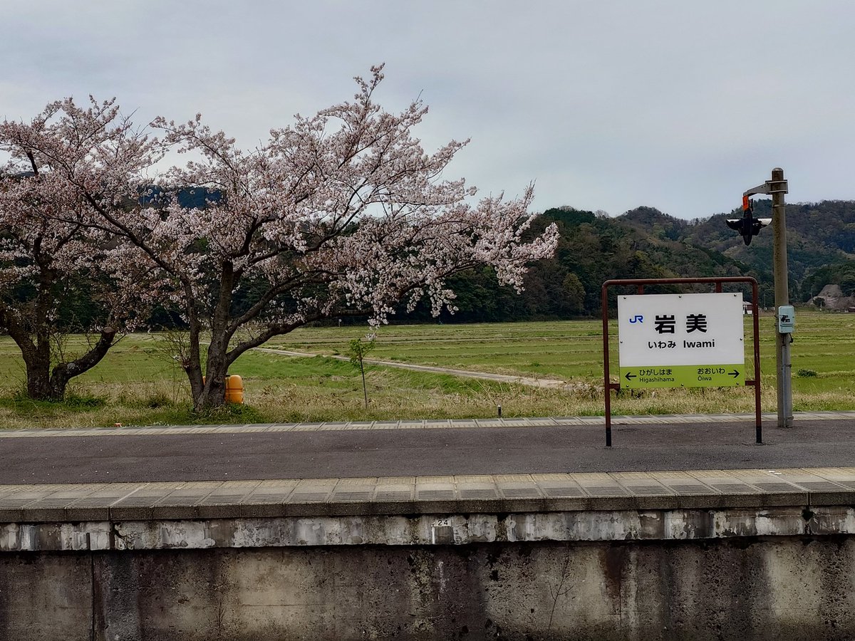 岩美駅…桜🌸、綺麗だったよwww