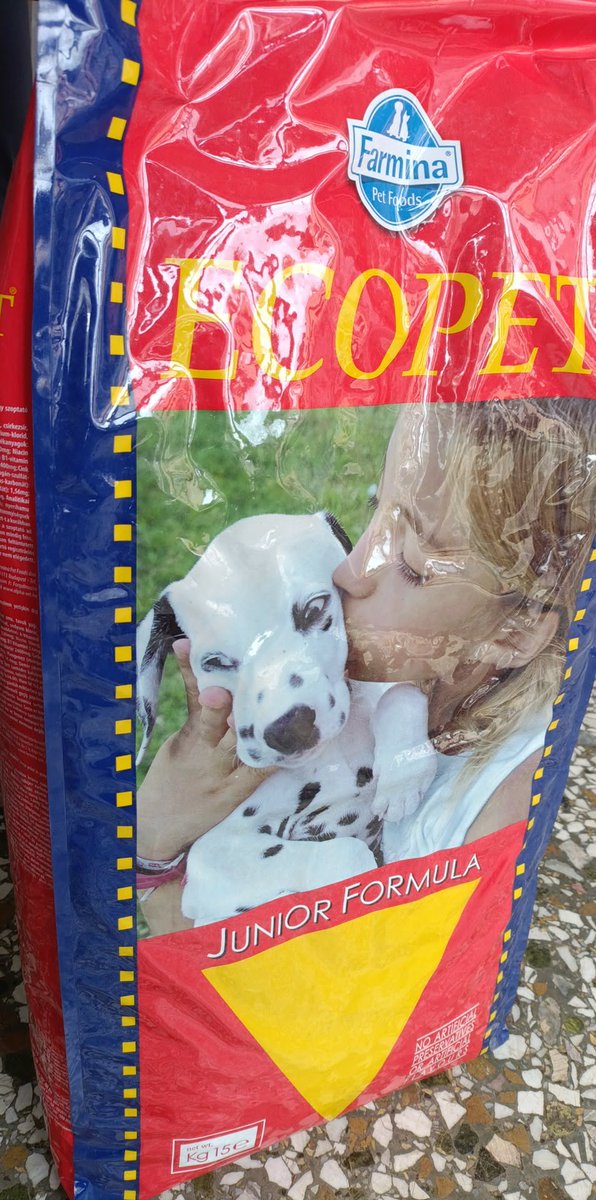 elina mpounia tweet media