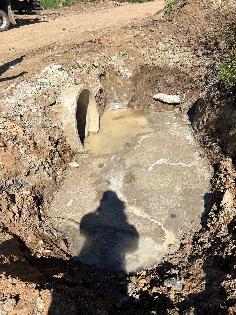 Dr Nasiphi Moya tweet media