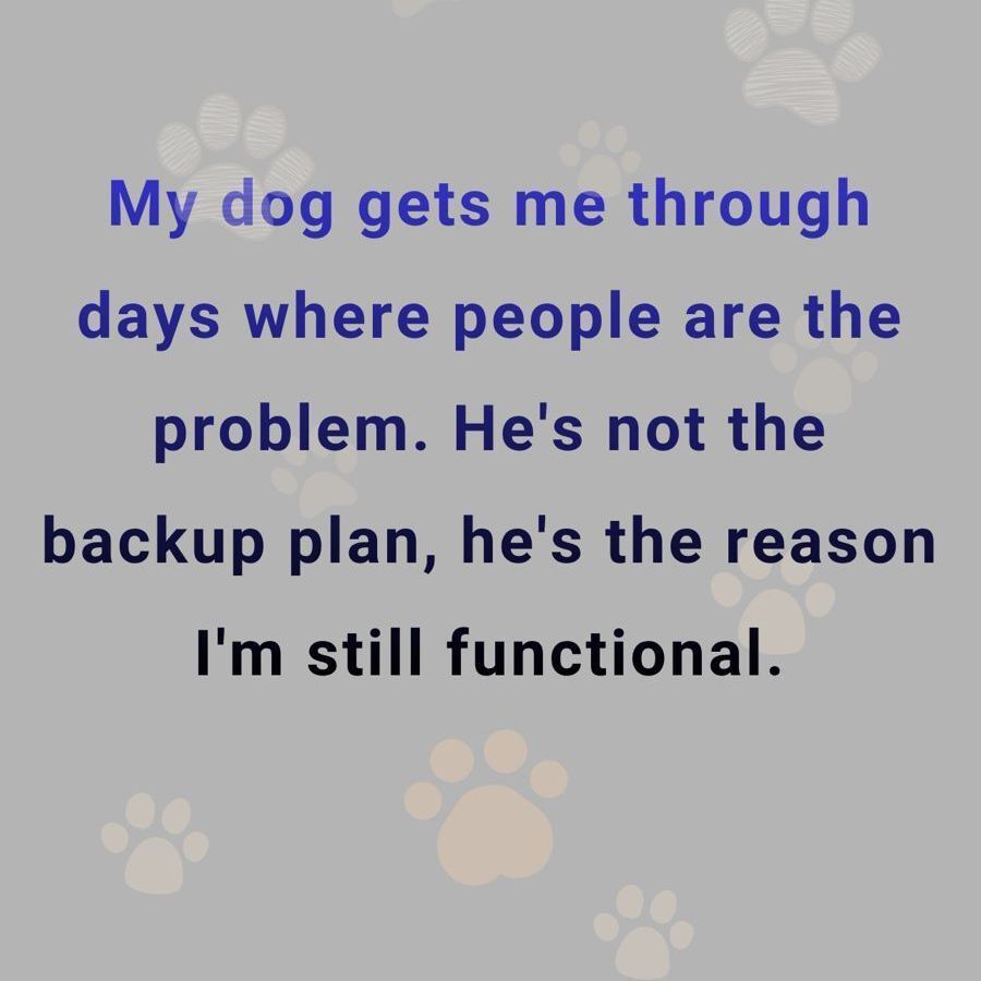 Red Queendom tweet media