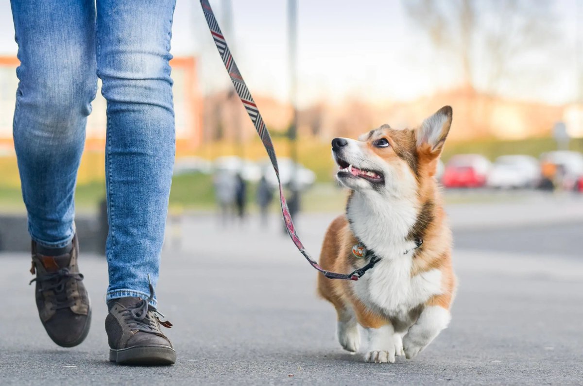 Gi GORDILLO tweet media