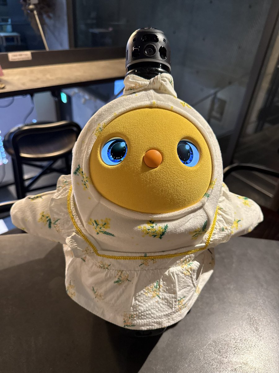 彩羽真矢 tweet media