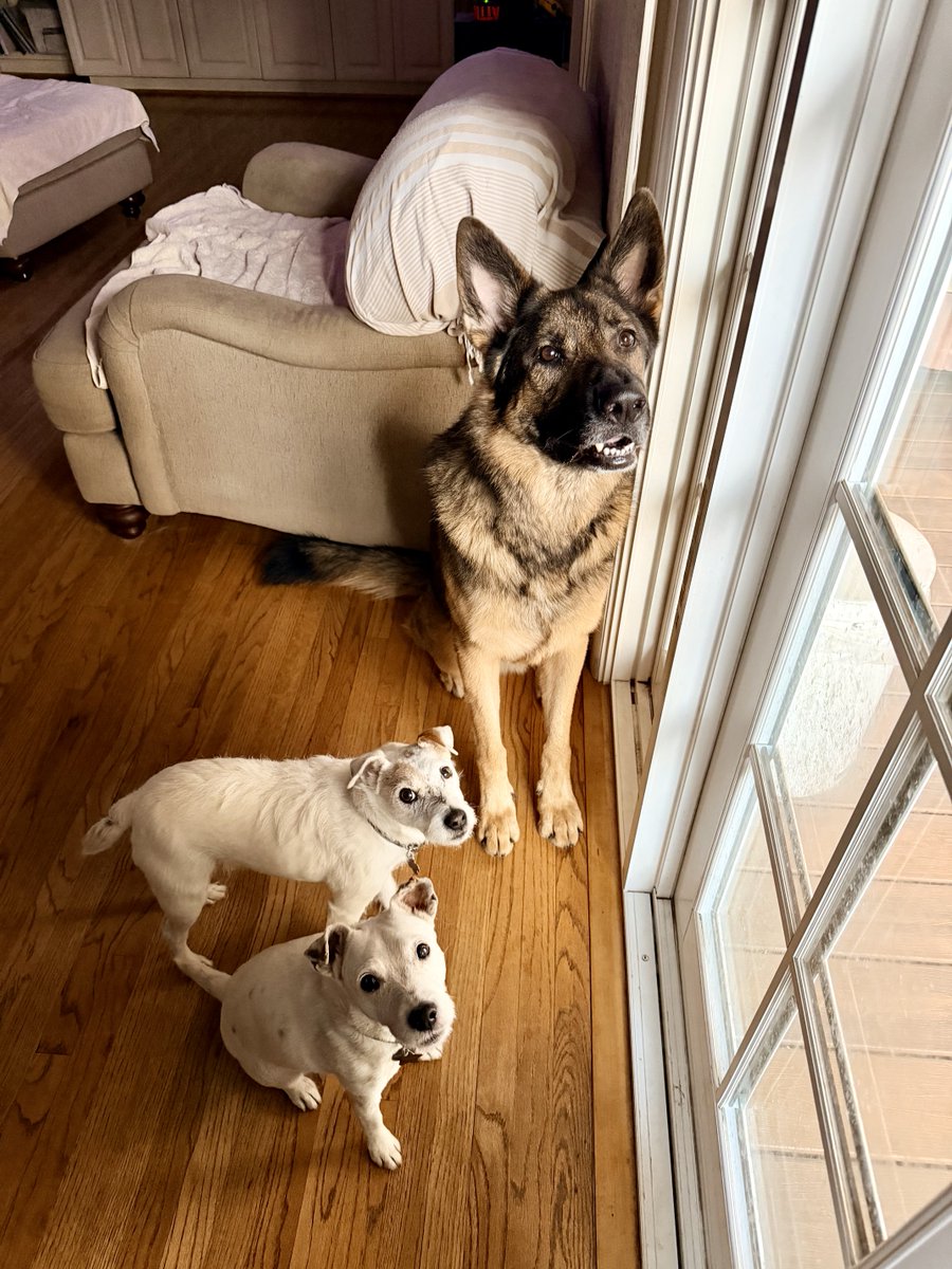 Irene M. Johnson tweet media