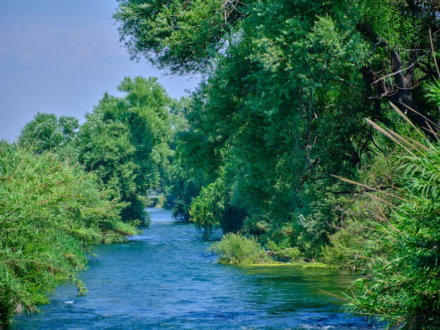 David Williams tweet media