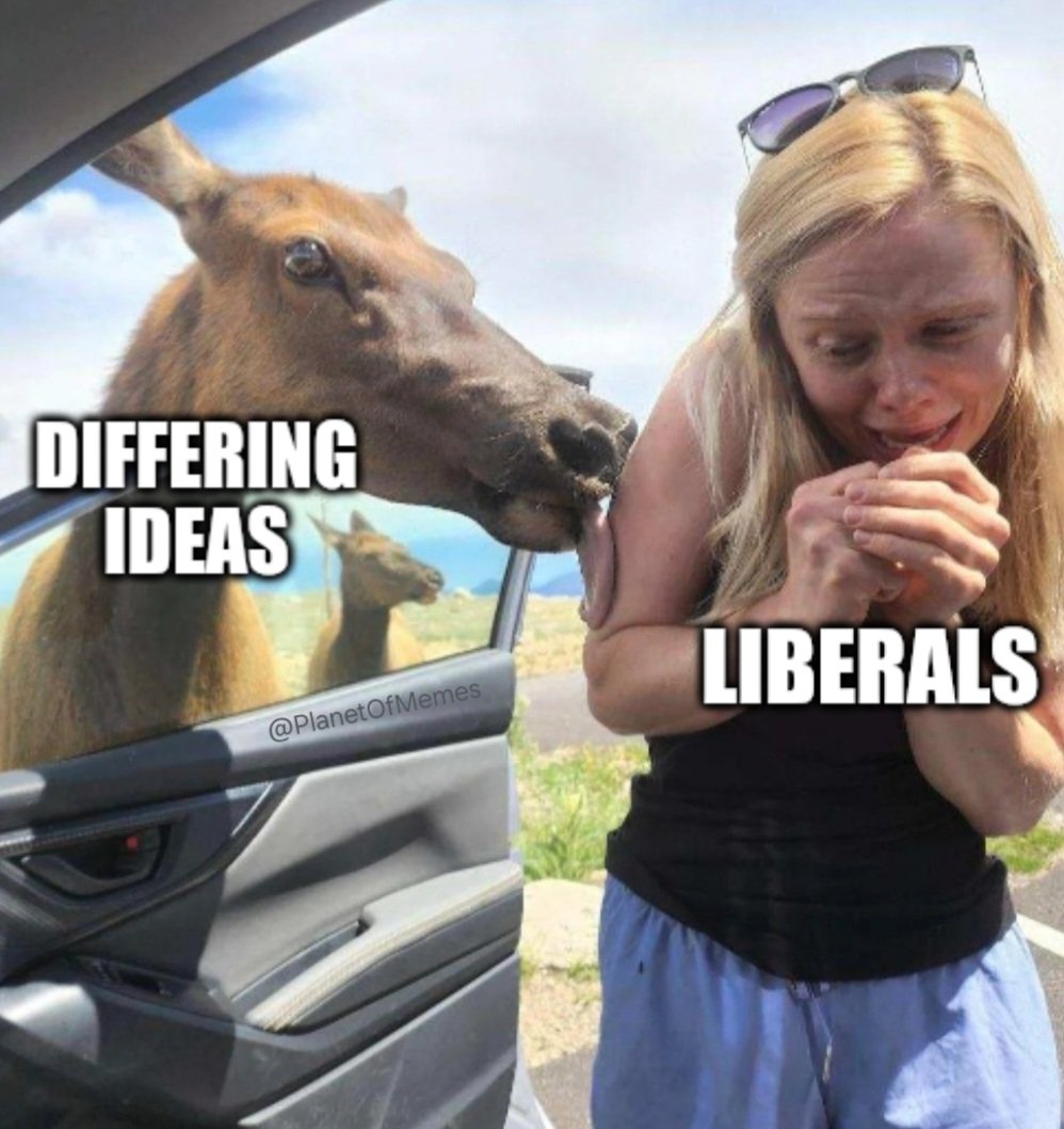 Nah, it'll be fine... tweet media