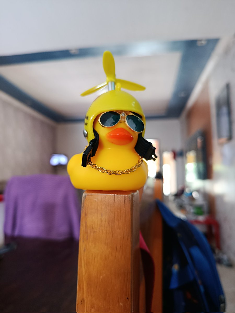 Trycia 土 Lohikäärme | 🐸 🌙 tweet media