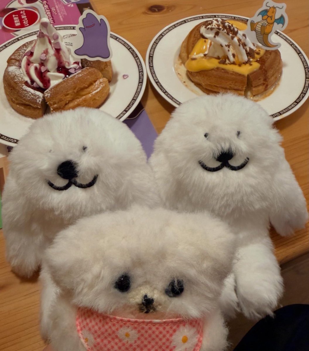 強欲だから抽選当たらないんだろうね。美味しいもの食べて気分あげてこ！