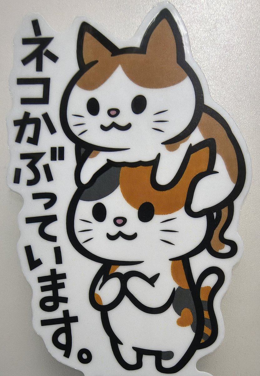 こじまにゃん🐱 tweet media