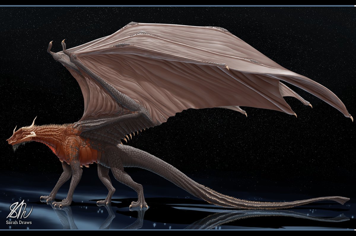 Sarah McKenzie tweet media