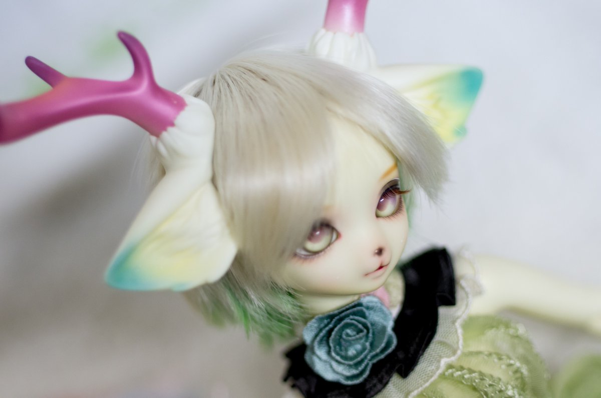 今日のアンジェラさん