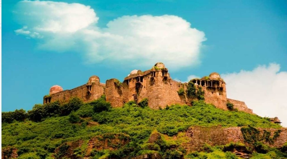 Deena Devi tweet media