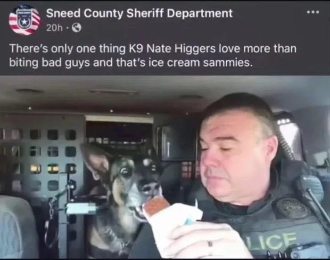 Dark,Odd,Conspiracy tweet media