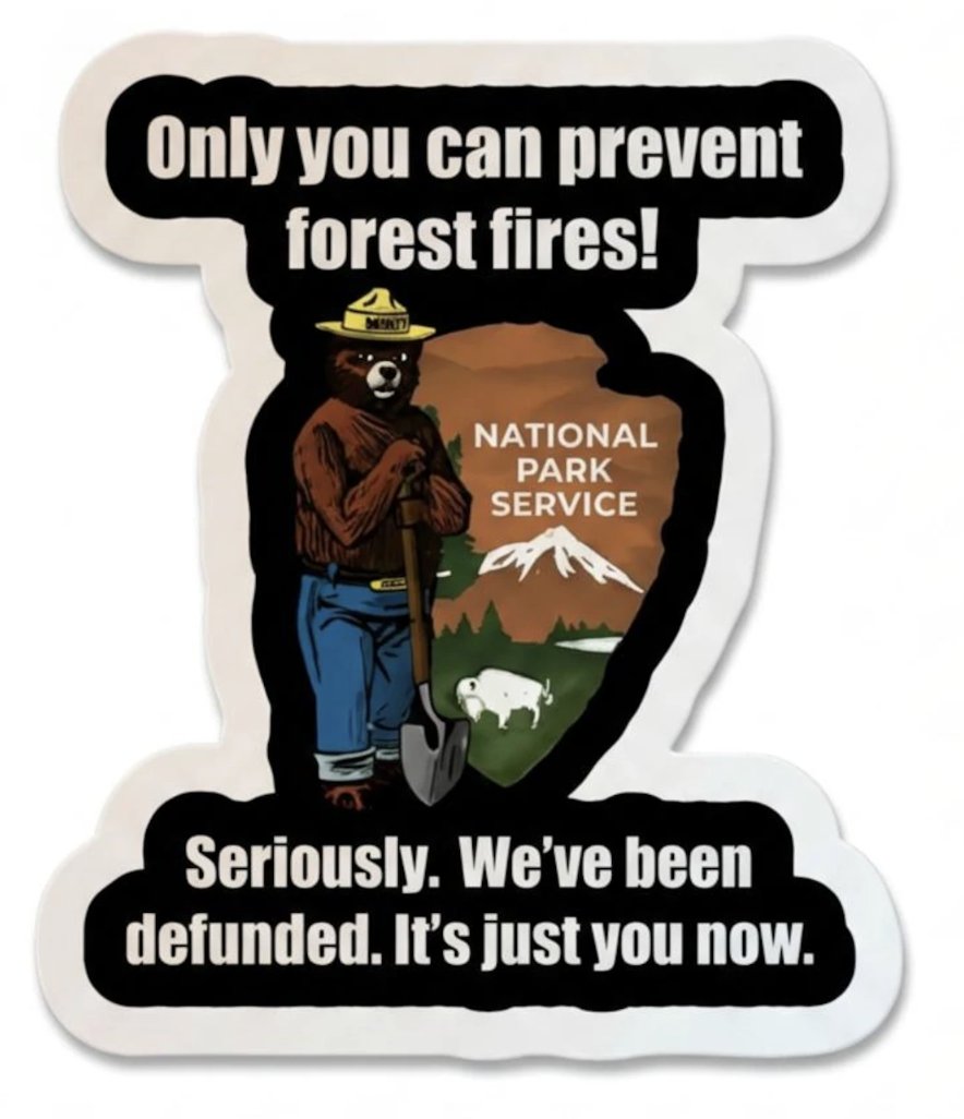 🔴🟡🟢 yo-fak tweet media