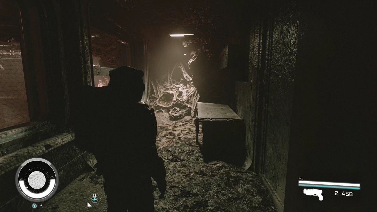 ねこずき🐱 tweet media