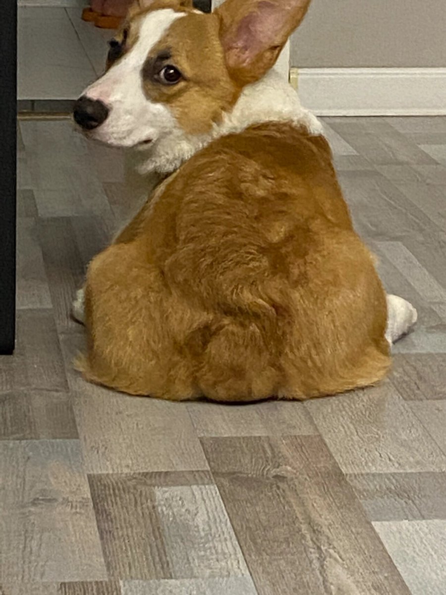 Sven Bladh tweet media