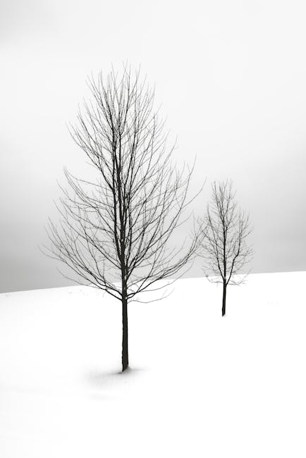 Kelly Lopez tweet media