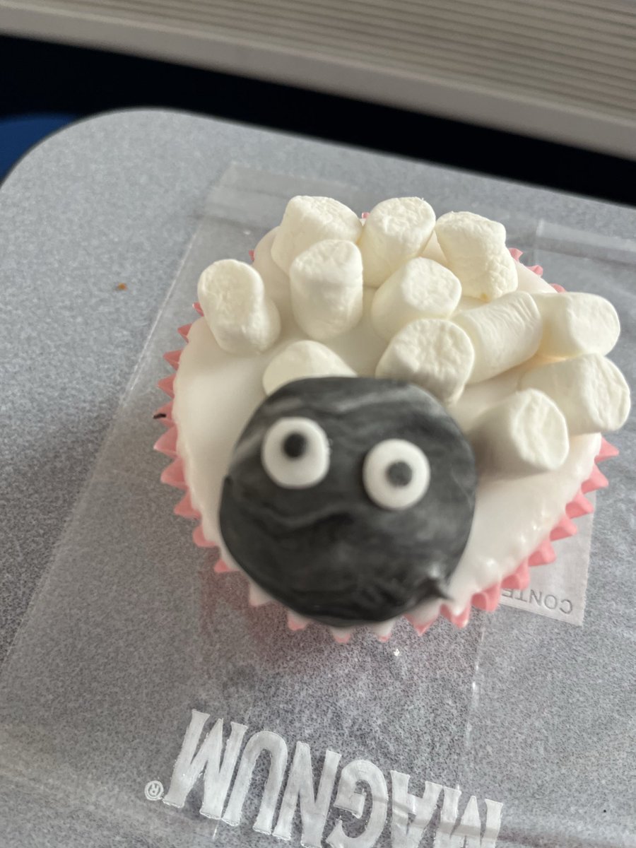 Blackburn_CU's tweet photo. At our Easter Creative Day on Tuesday we made some cute marshmallow sheep!! https://t.co/RPG8yl4ukV