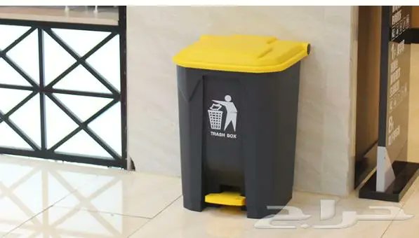 مخلوق عربي tweet media