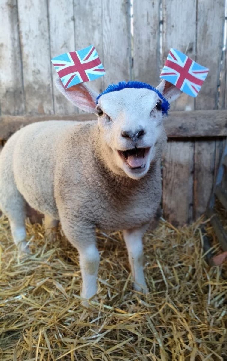 ClarksonsFarm tweet media