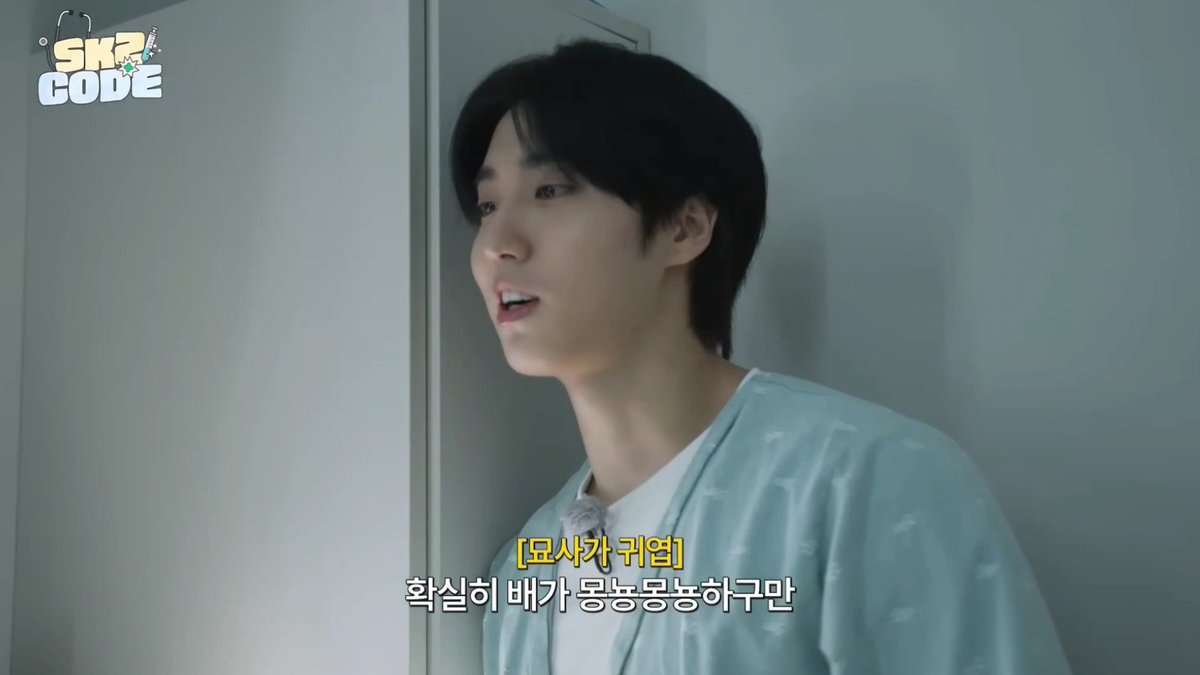 점선면 tweet media