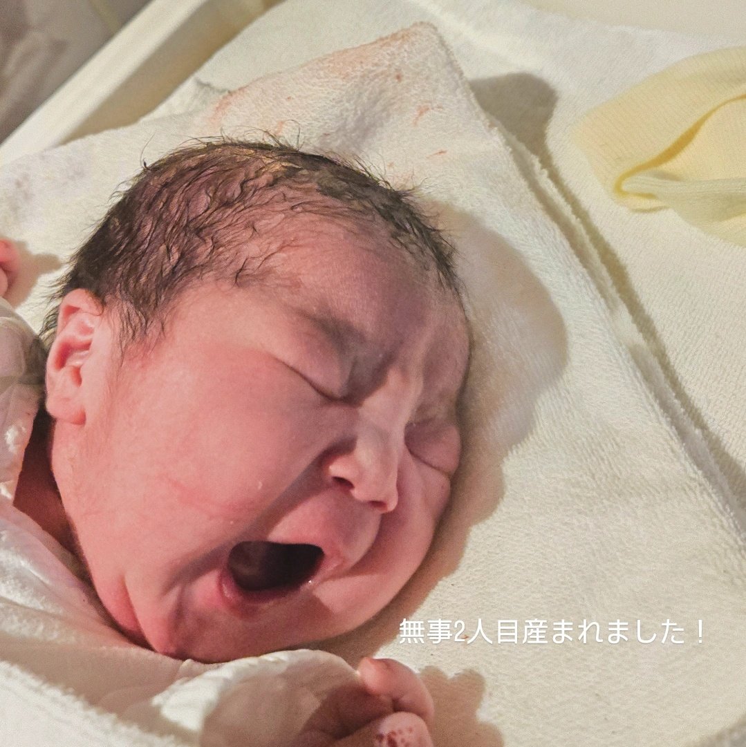 yosakoiboc's tweet photo. 本日無事2人目産まれました！
予定日より17日早く出てきたのに大きい笑
男の子2人、賑やかになるぞー❇️
きっとしばらくよさこいは観る専です👀 https://t.co/Jmsr2E8m6Q