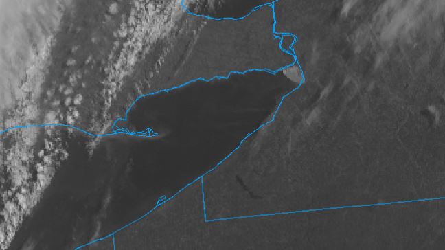 Patrick Hammer tweet media