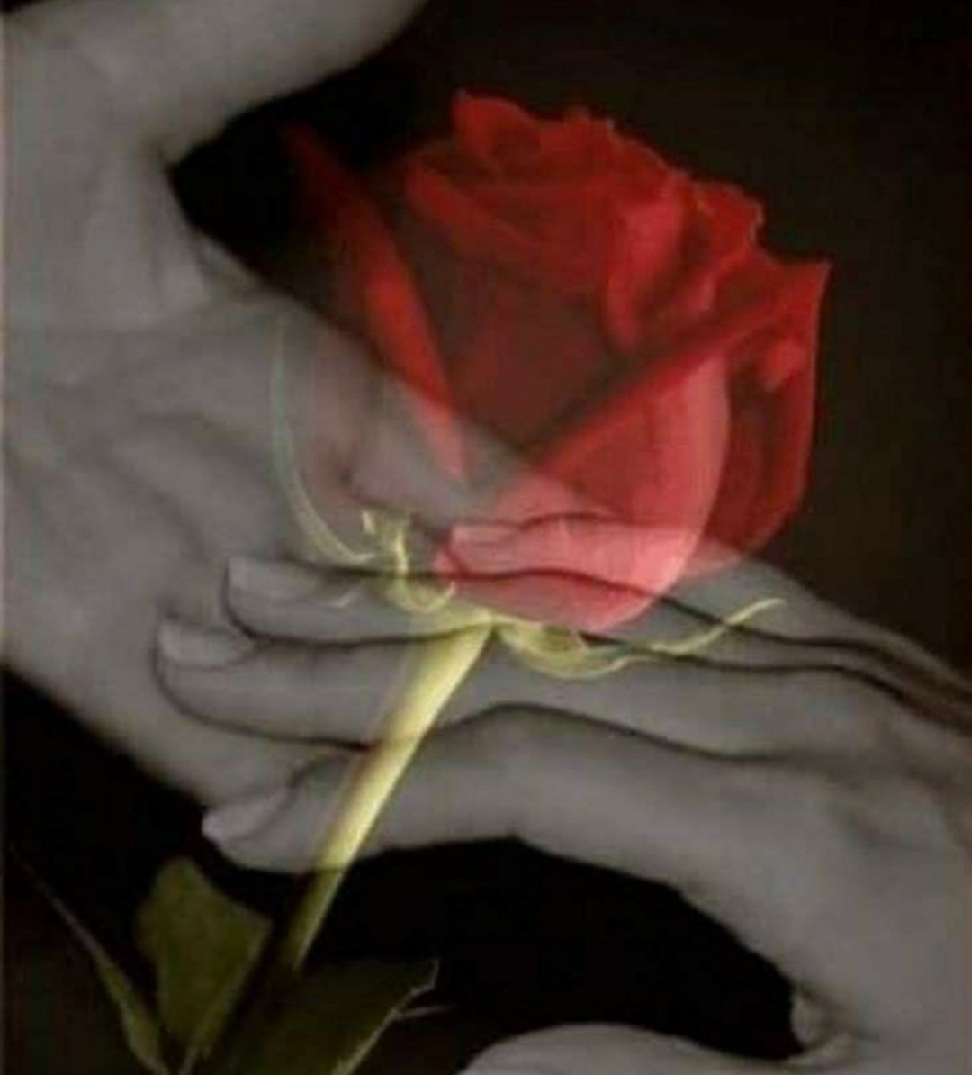 سأبقى هنا...
أمسح عن عينيك الهموم
أمدّ يدي إليك بالحلم وإن غابت النجوم
أعطيك أملا وإن غزت السماء غيوم!

لا تحزن...
وإن قسا عليك الزمان يومًا
فسأكون لك وردة في قلب الشتاء
✍🏻