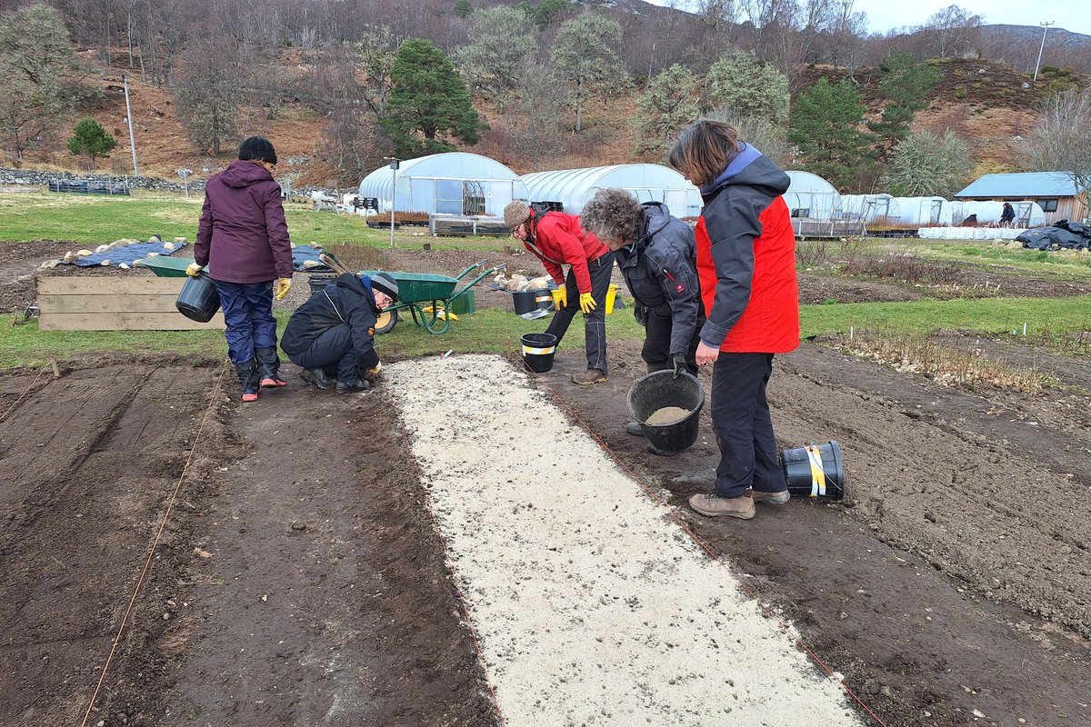 Trees for Life tweet media