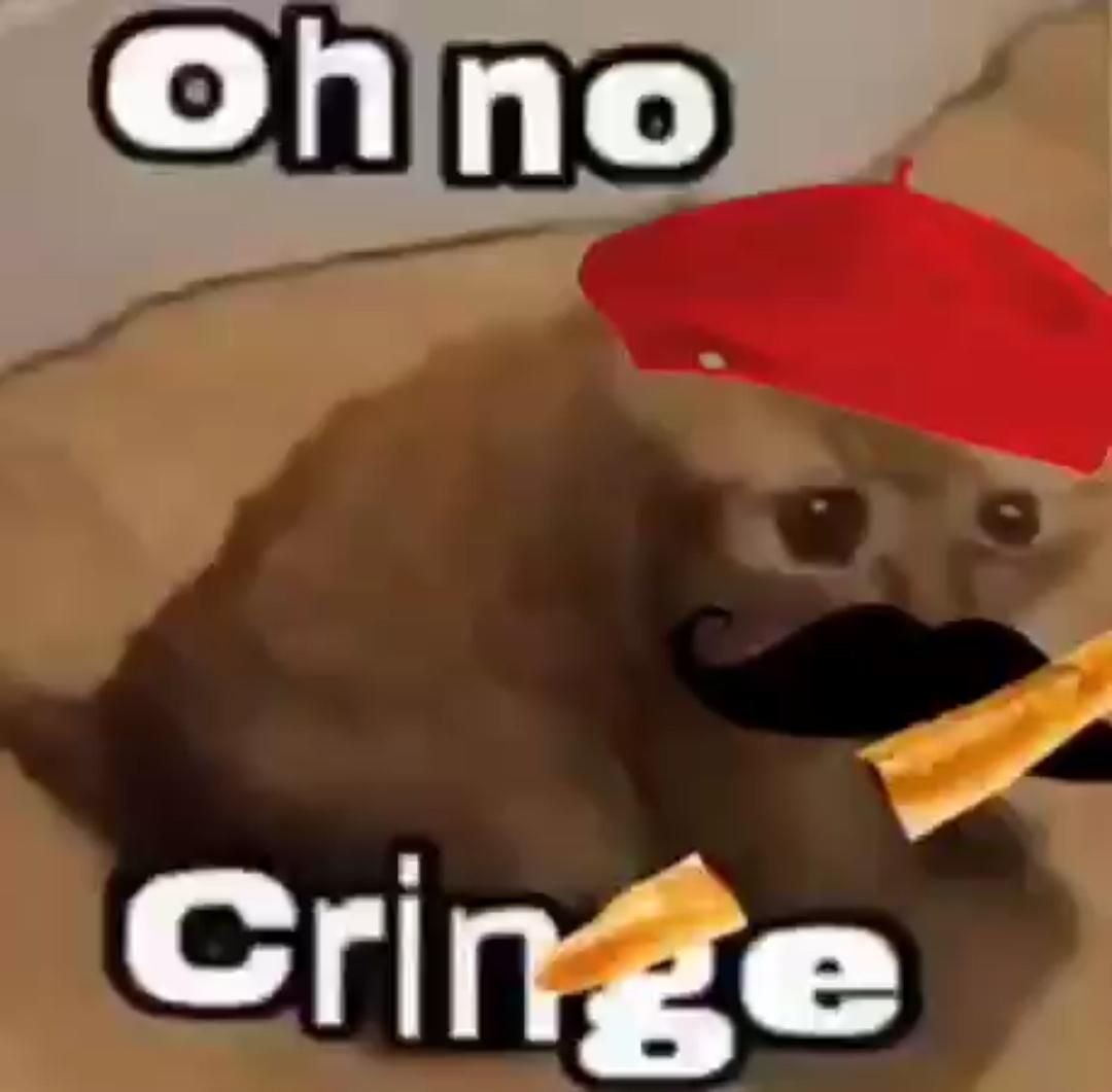 Observer tweet media