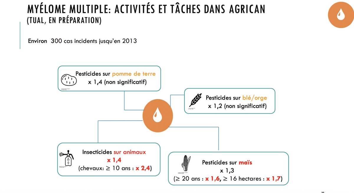 Géraldine Woessner tweet media