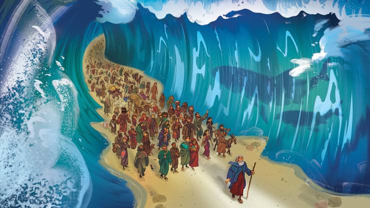 🅱️ASH-AAR🛑 tweet media