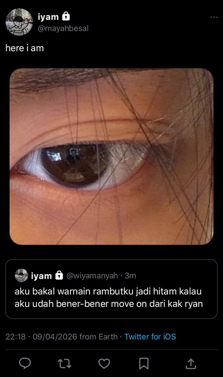 ׄ Seyy tweet media