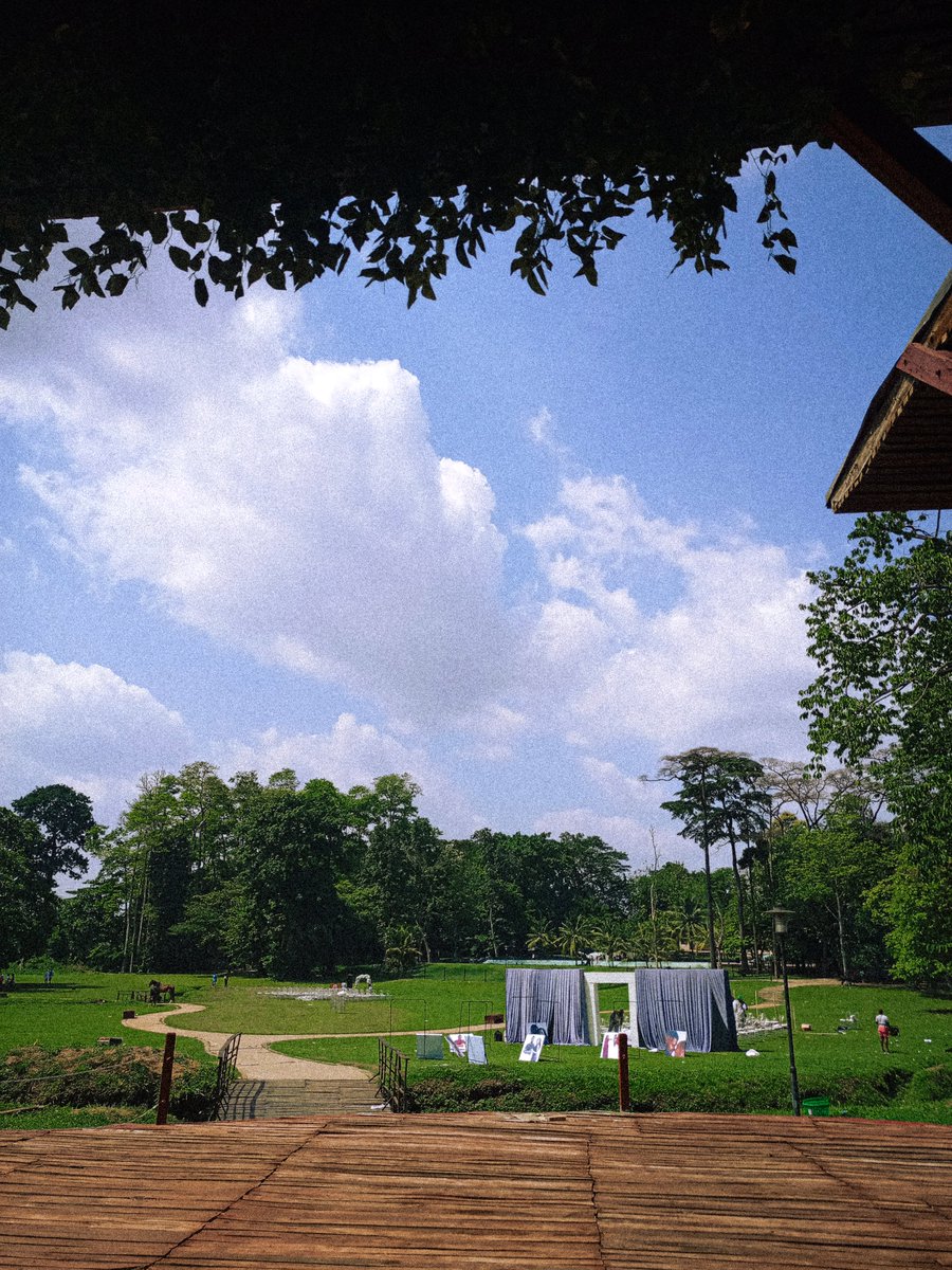 Alpha Benjamin tweet media