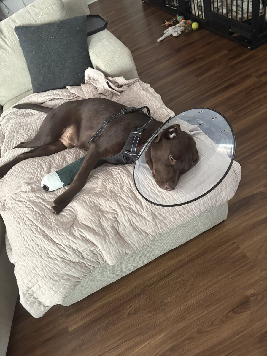 KBMV18's tweet photo. #freehank https://t.co/uoplLZY8rD
