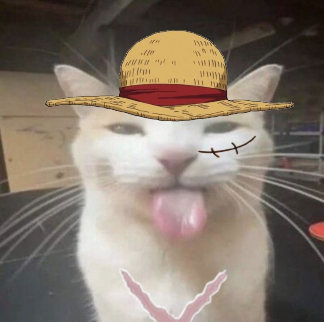 mugiwxra tweet media