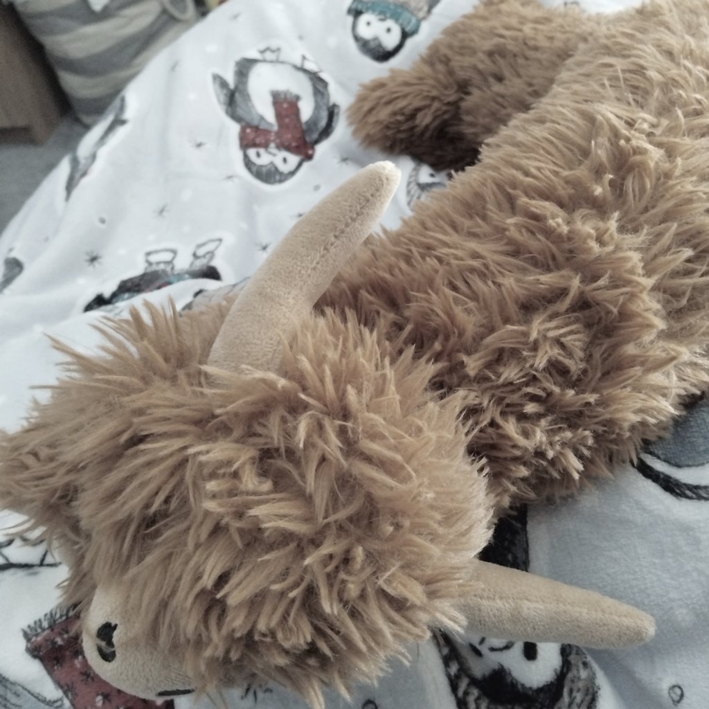 — kit ♱ ⨾ mizu of shedtwt tweet media