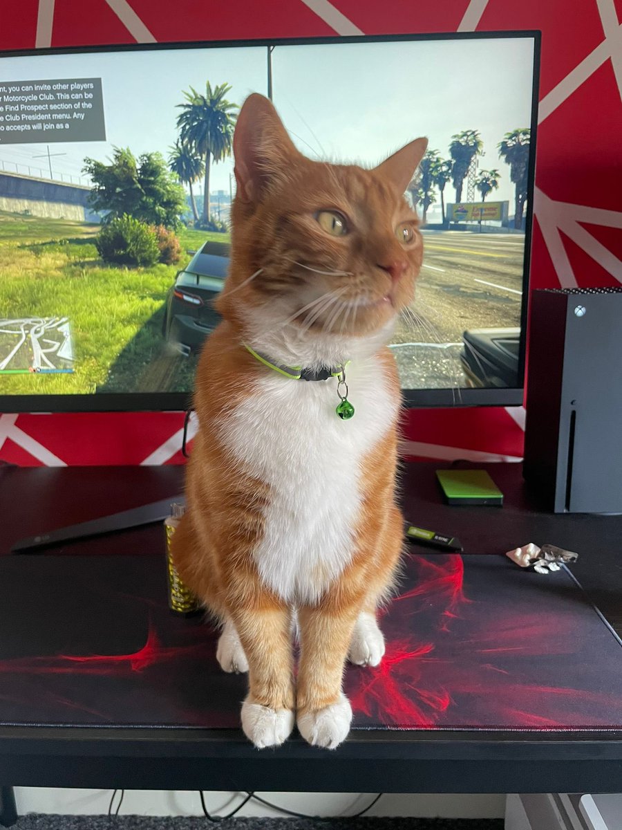 MaW-FURY-Gaming tweet media